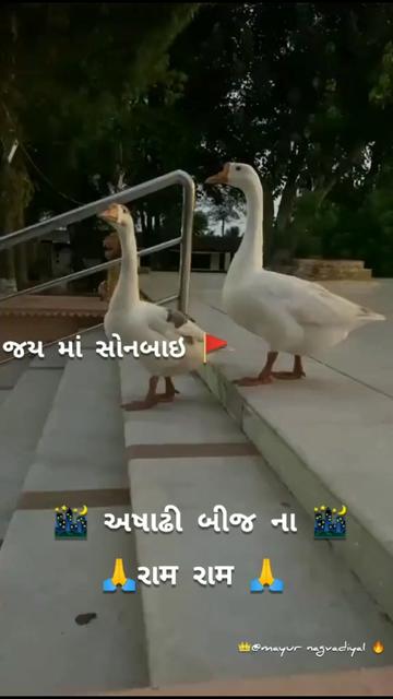 @𝖆𝖒ཞ__𝖘ཞ___302