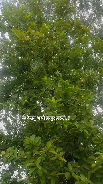 @Lokendra Khadka
