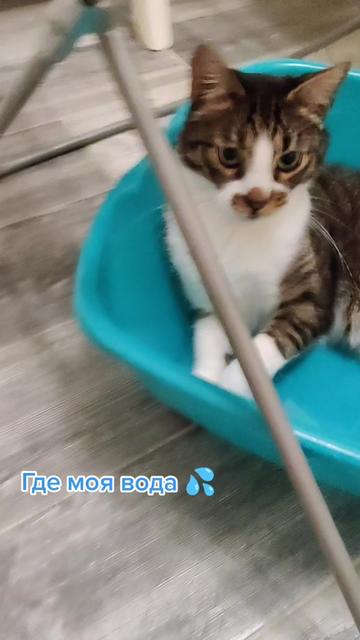 @Miki Мики