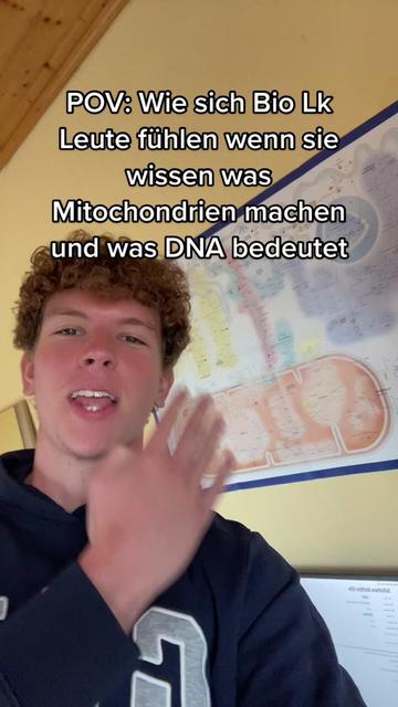 @maxenglisch