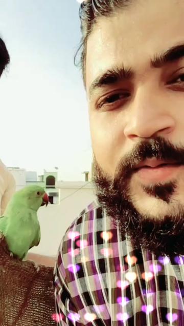 @Mohd Murtuza Ali