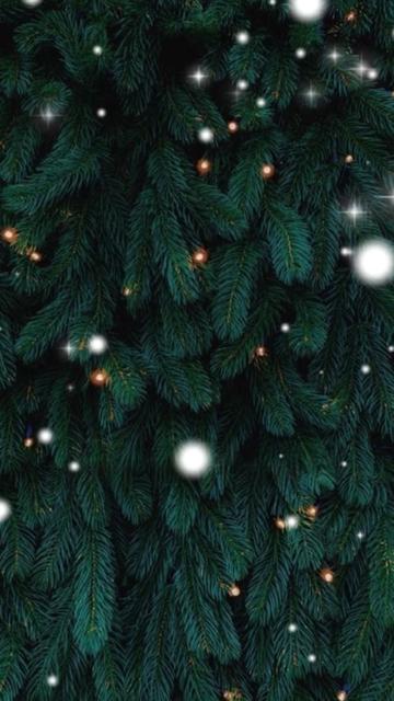 @cafe_chapter1