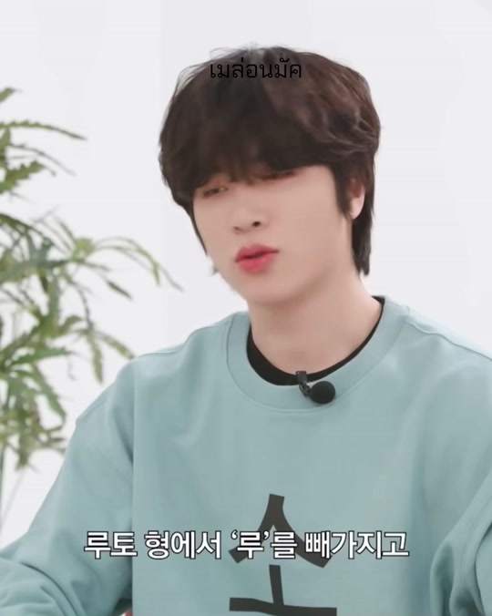 @ꕤ ₘₑₗₒₙ 🍈 *⑅