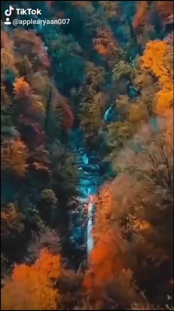 @AppleAryaan007