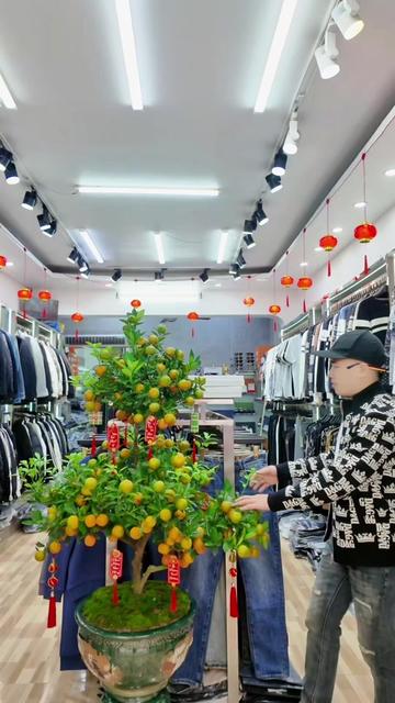 @Huấn Âu Luxury Nam Định