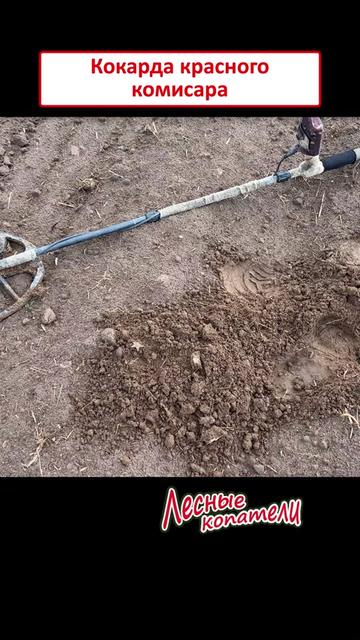 @Лесные Копатели