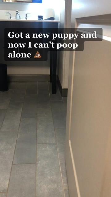 @Chonkster
