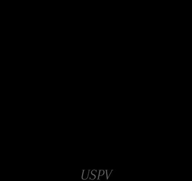 @✝USPV🇭🇺
