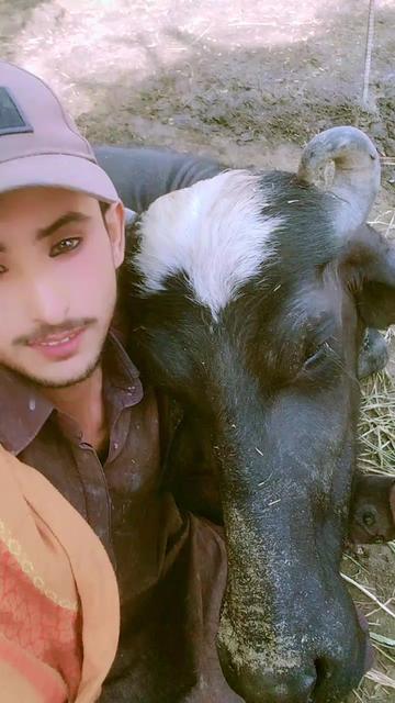 @Shah Jahan Khan