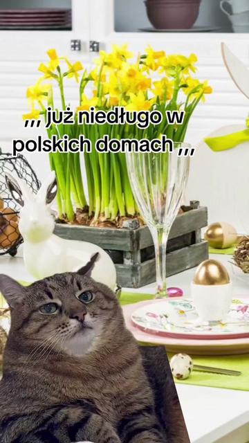 @❤️Kasia_Sommer❤️