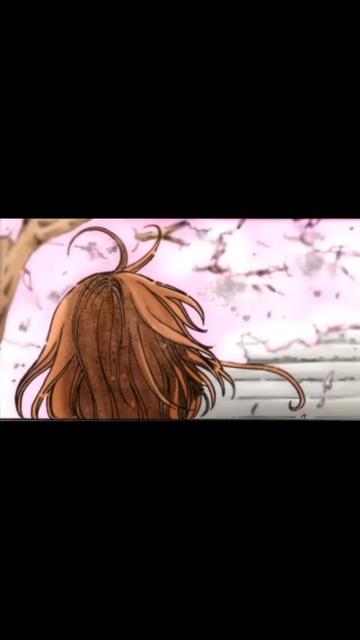 @AnimeZz