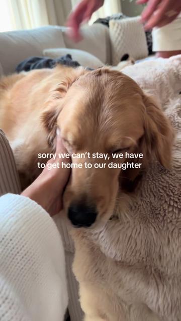 @novathegoldenn