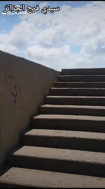 @goéland.dz