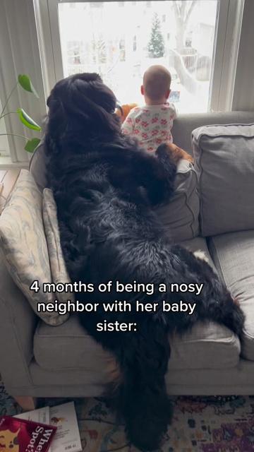 @Ivy the Berner
