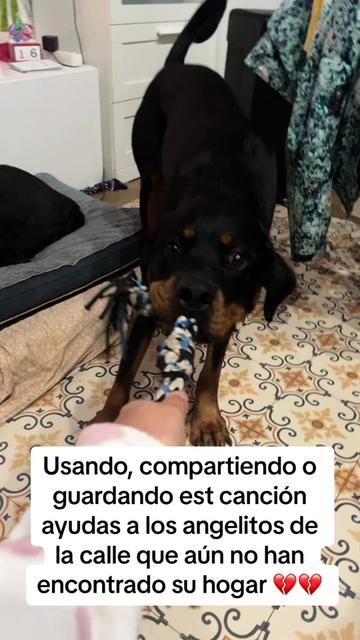 @Anubis y compañía