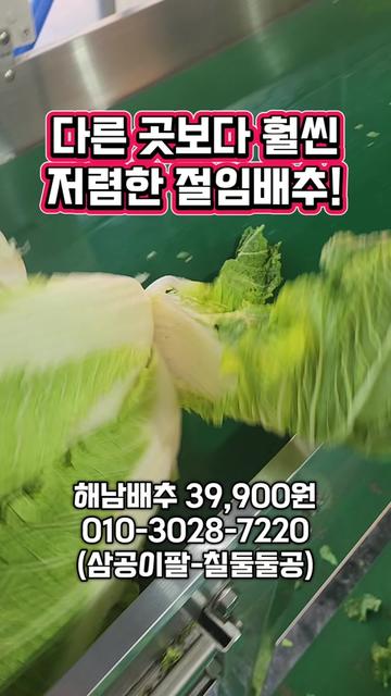 @한입의행복
