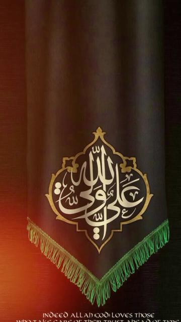 @عشق فقط علی علیہ السلام ❤️