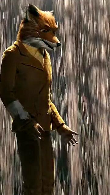 @AnimationQuotation