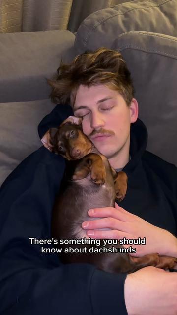 @rhubarb the doggo