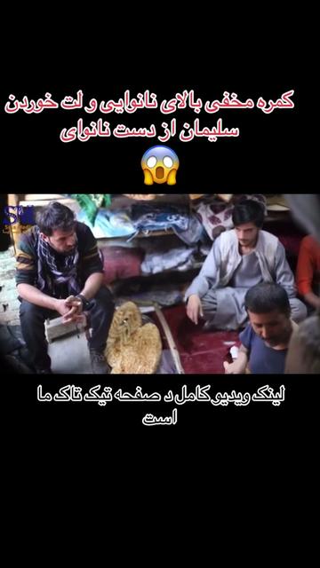 @watandarplus_fans