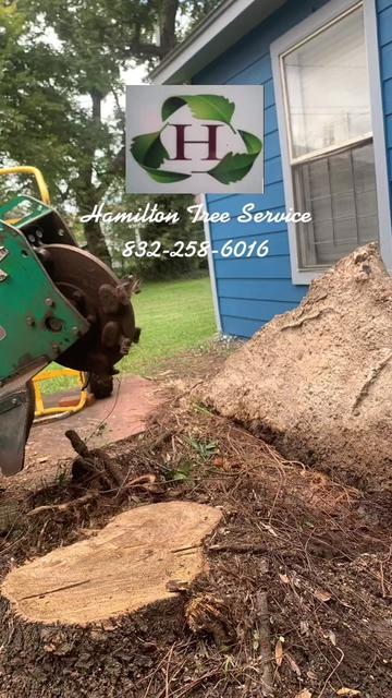 @Hamilton Tree Service
