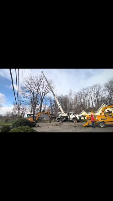 @Chads Tree Service