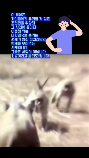 @자유시선Jayu - Sisun