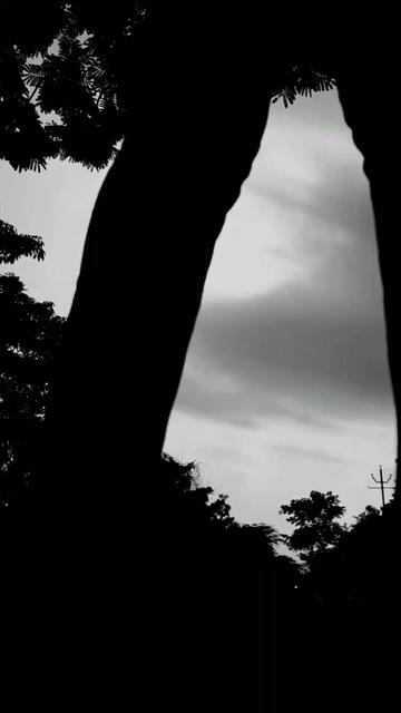 @G&auml;&ntilde;&ecirc;sh T&oslash;&ntilde;y