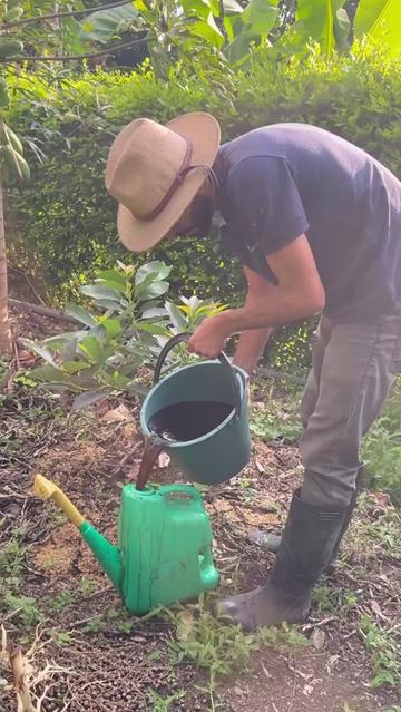 @Tu jardín en casa