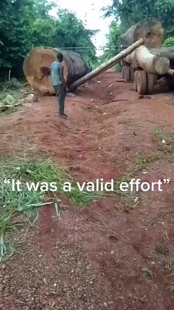 @walnut_willow_official