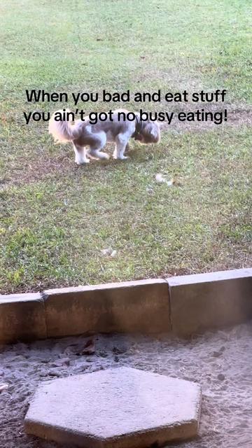 @Our Family Farm