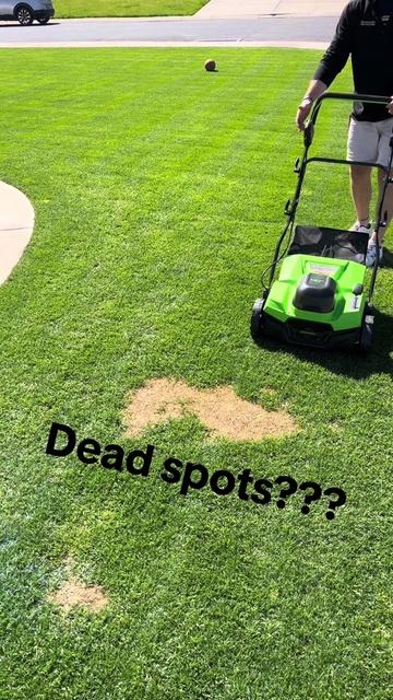 @Lawngest Yard