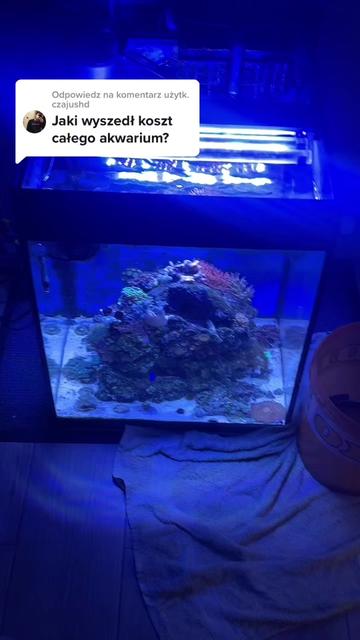 @Aquarista