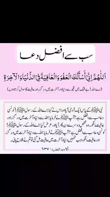 @user8482980460763