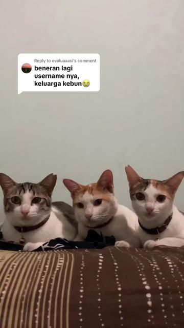 @Keluarga Kebun🍠🥬🥕