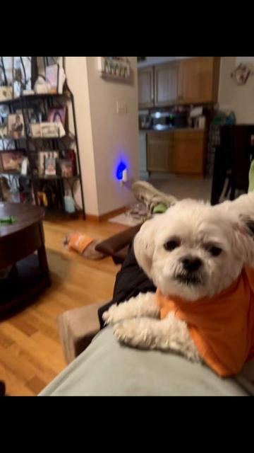@Bomby y princesa🩵🩷