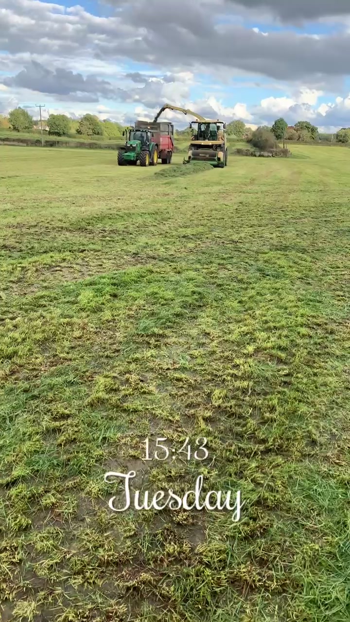 @Farmer Adam