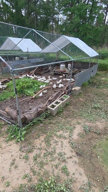 @DelaterrePermacultureFarm