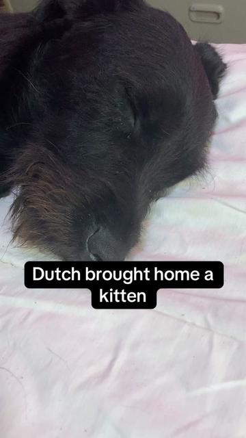 @The Flying Dutchgirl