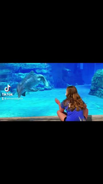 @dolphin_heart66