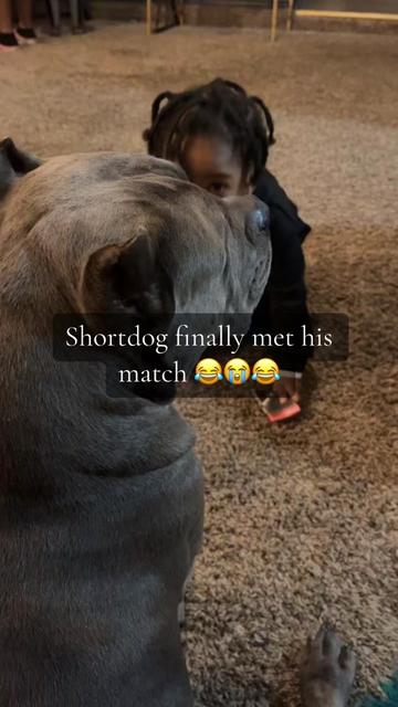@poohbie2trill&shortdog