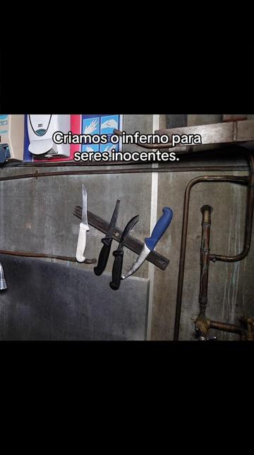 @Carne é cruel