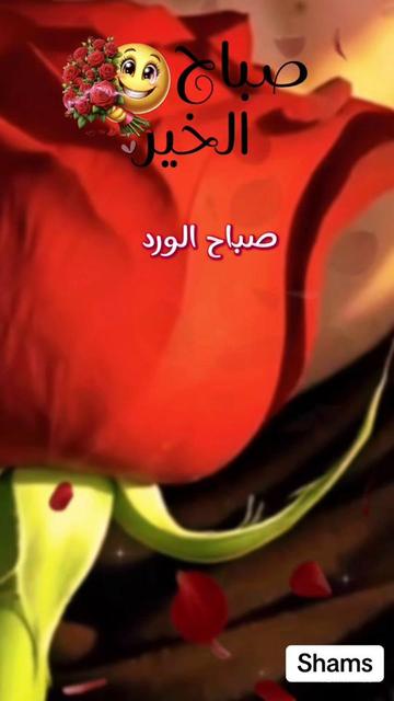 @Shams