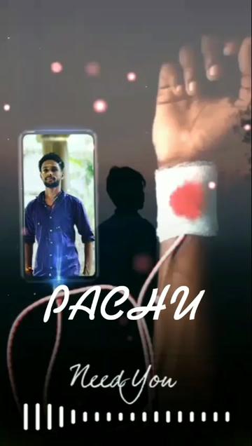 @PACHU CaxRod 123