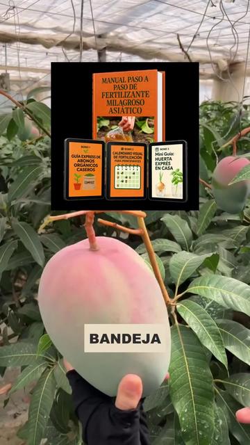 @Grow Garden | Plantas