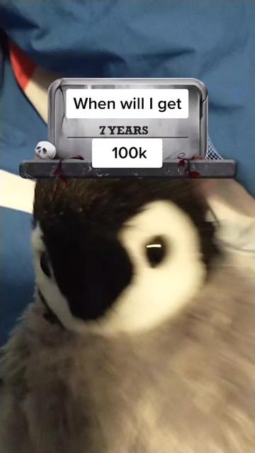 @ThePenguinRob