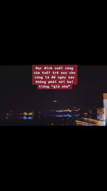 @🎀 ✨MoMo Cat ✨🎀