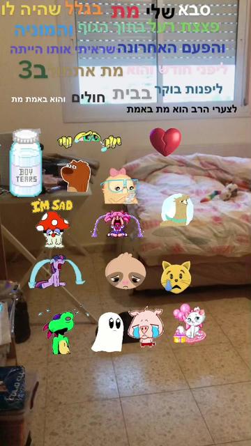 @taliya Biton