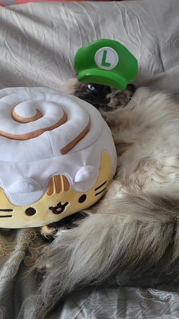 @CatWith
