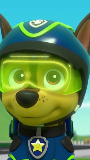 @pawpatrol